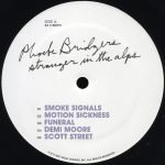 Phoebe Bridgers – Stranger In The Alps LP Plak - Görsel 2
