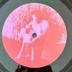 Fruit Bats – The Pet Parade LP Plak - Görsel 2