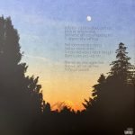 Fruit Bats – The Pet Parade LP Plak - Görsel 3