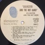 Sylvester And The Hot Band - Sylvester And The Hot Band LP Plak - Görsel 2