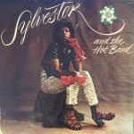 Sylvester And The Hot Band - Sylvester And The Hot Band LP Plak