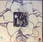 Sylvester And The Hot Band - Sylvester And The Hot Band LP Plak - Görsel 3