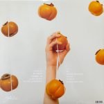 Japanese Breakfast – Jubilee LP Plak - Görsel 3