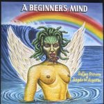Sufjan Stevens & Angelo De Augustine – A Beginner's Mind LP Renkli Plak