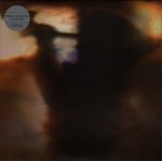 Animal Collective – Fall Be Kind LP Plak