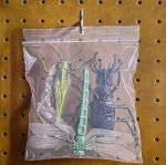 Black Country, New Road – Ants From Up There 2LP Plak - Görsel 4