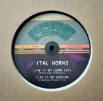 Danny Red, Ital Horns, Conscious Sounds – Live It Up 10” Single EP Plak - Görsel 2