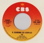 Il Giardino Dei Semplici – Vai 45lik Plak - Görsel 2