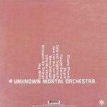 Unknown Mortal Orchestra LP Plak - Görsel 3