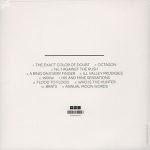 Liars – WIXIW LP Plak - Görsel 2