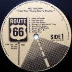 Roy Brown – I Feel That Young Man's Rhythm LP Plak - Görsel 3