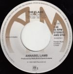 Annabel Lamb – The Flame 45lik Plak - Görsel 2