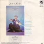 Annabel Lamb – The Flame 45lik Plak - Görsel 3