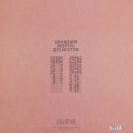 Unknown Mortal Orchestra – II LP Plak - Görsel 4