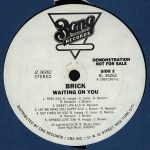Brick – Waiting On You LP Plak - Görsel 4