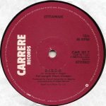 Ottawan – D.I.S.C.O. 12'' Maxi Single Plak - Görsel 2