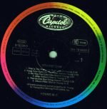 Young MC – Brainstorm LP Plak - Görsel 2