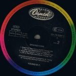 Young MC – Brainstorm LP Plak - Görsel 3