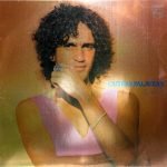 Caetano Veloso – Outras Palavras LP Plak