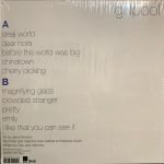 Girlpool – Before The World Was Big LP Renkli Plak - Görsel 3