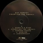 Guy Garvey – Courting The Squall LP Plak - Görsel 2