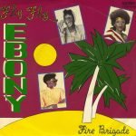Ebony – Fly, Fly 45lik Plak