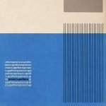 Preoccupations LP Renkli Plak