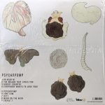 Japanese Breakfast – Psychopomp LP Plak - Görsel 3