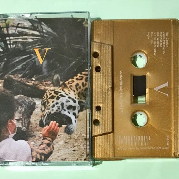 Unknown Mortal Orchestra – V Renkli Kaset