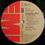 Jim Capaldi – The Sweet Smell Of Success LP Plak - Görsel 3