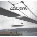 Nekropsi CD