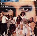Wallenstein – If 45lik Plak