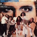 Wallenstein – If 45lik Plak