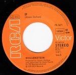 Wallenstein – If 45lik Plak - Görsel 3