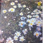 Dances of the Peoples of the Soviet Union LP Plak