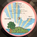 Roxy Music LP Plak İLK BASKI - Görsel 2