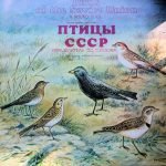 Birds of the Soviet Union. A Sound Guide LP Plak