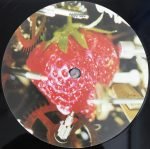 Neotropic – Mr Brubakers Strawberry Alarm Clock 2LP (Future Jazz) - Görsel 3