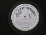Michel Legrand – Brian's Song (Themes & Variations) LP Plak - Görsel 3