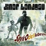 Dinar Bandosu – Saykodelikdeşik CD