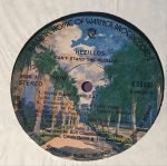 The Rezillos – Can't Stand The Rezillos LP Plak - Görsel 3