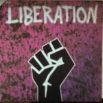 Liberation 12'' Maxi Single Plak (Italo House)
