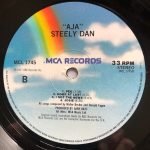 Steely Dan – Aja LP Plak - Görsel 4