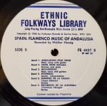 Unknown Artist – Flamenco LP Plak - Görsel 4