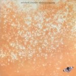Michael Franks – Sleeping Gypsy LP Plak