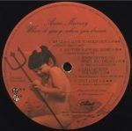 Anne Murray – Where Do You Go When You Dream LP Plak - Görsel 4