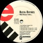 Busta Rhymes – When Disaster Strikes... 2LP Plak (Promo) - Görsel 3