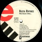 Busta Rhymes – When Disaster Strikes... 2LP Plak (Promo) - Görsel 2