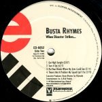 Busta Rhymes – When Disaster Strikes... 2LP Plak (Promo) - Görsel 4