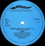 Divine ‎– Native Love (Step By Step) 12'' Maxi Single Plak - Görsel 2